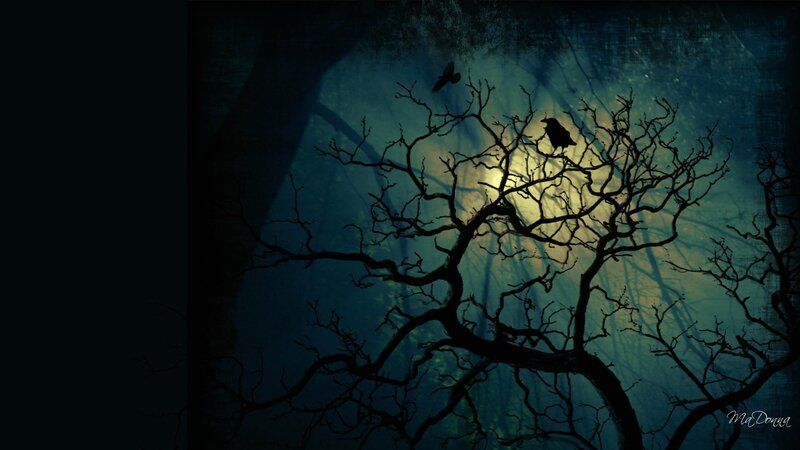 Silhouetted Tree with Birds