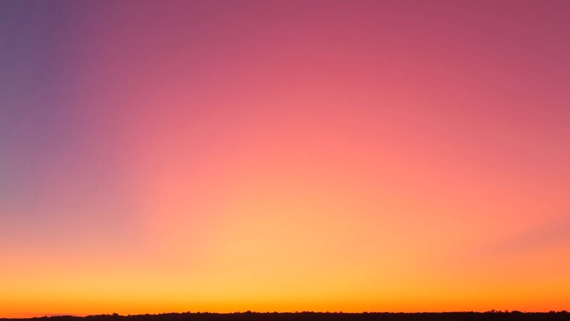Silhouetted Treeline at Sunset