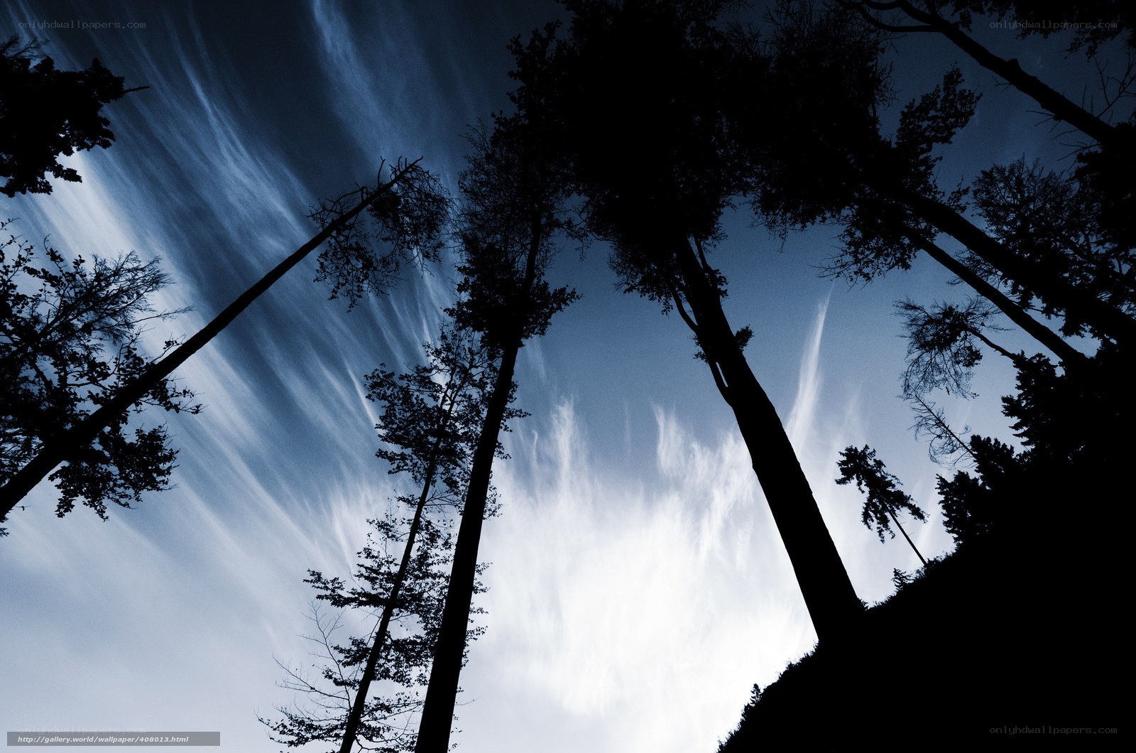 Silhouetted Trees Against Cloudy Sky