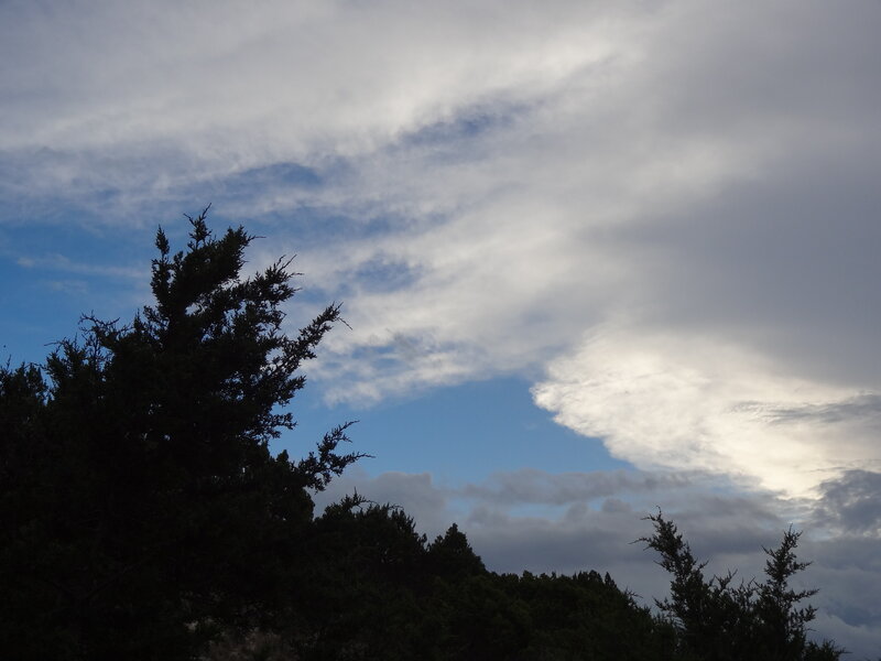 Silhouetted Trees Against Sky — Blue, Dramatic, Sunset