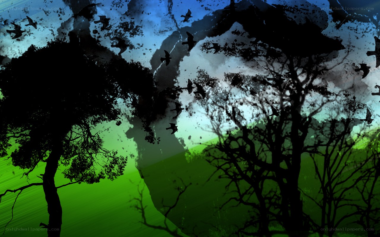Silhouetted trees and birds