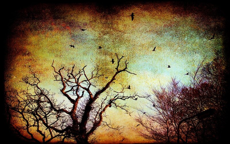 Silhouetted Trees and Birds — Brown