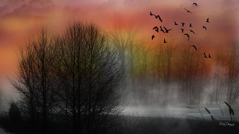 Silhouetted Trees and Birds — Orange