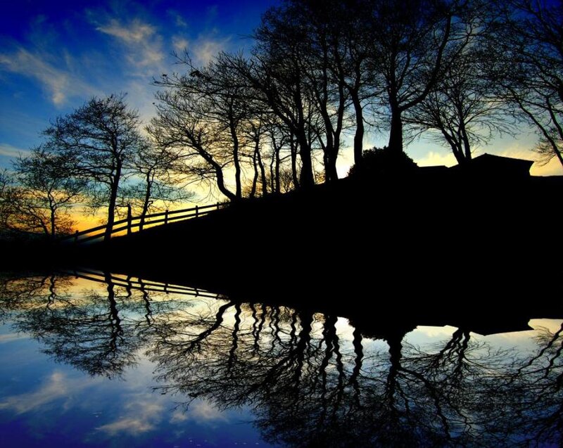 Silhouetted Trees and Bridge