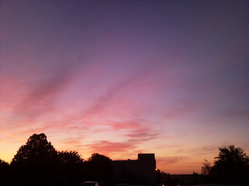 Silhouetted Trees and Building