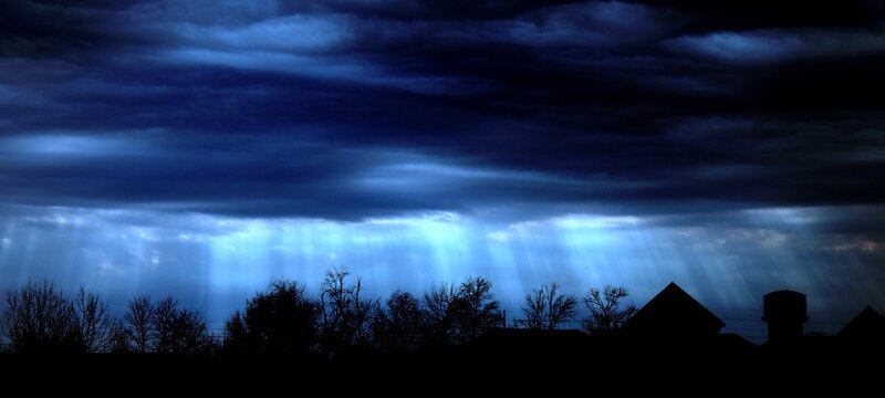 Silhouetted Trees and Buildings — Blue, Dramatic