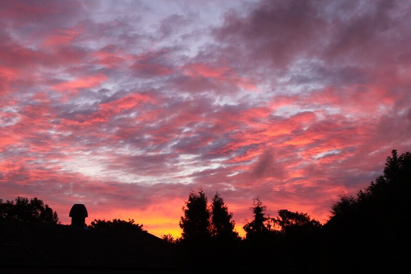 Silhouetted Trees and Chimney