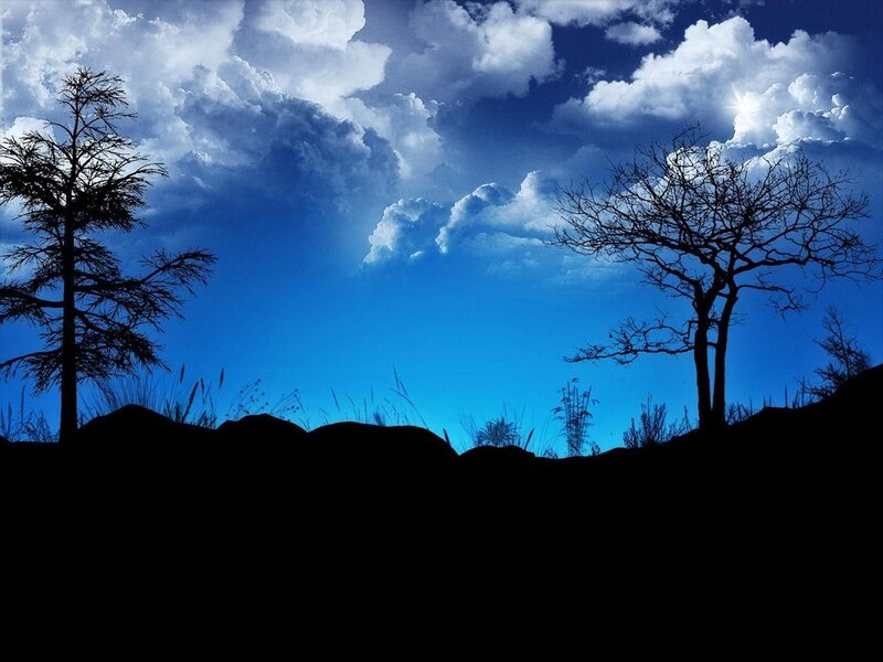 Silhouetted Trees and Clouds
