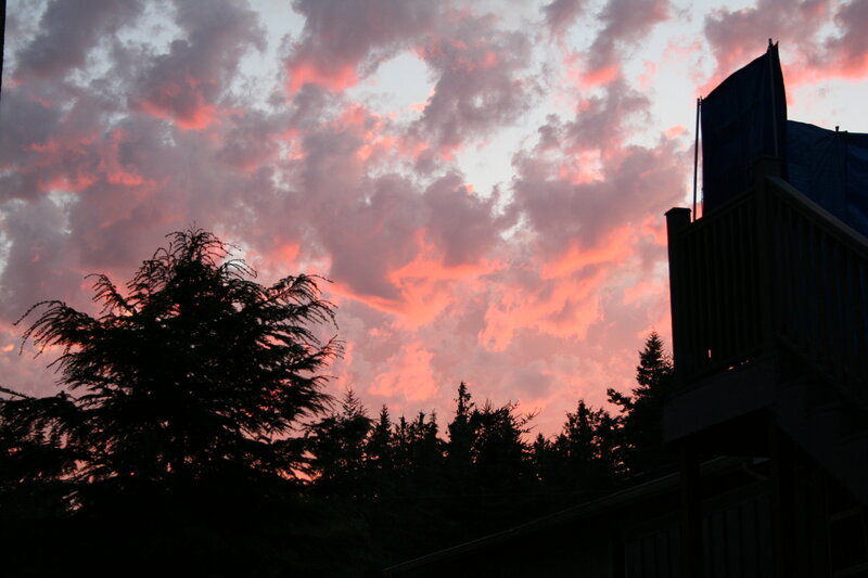 Silhouetted Trees and Deck