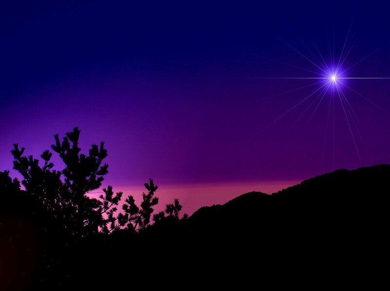 Silhouetted Trees and Hills — Purple