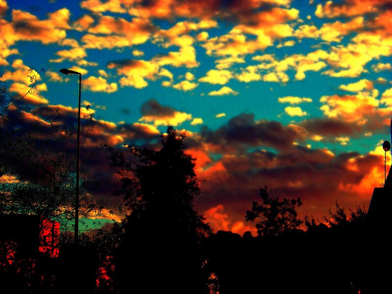 Silhouetted Trees and Lamp Post