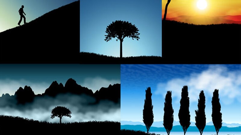 Silhouetted Trees and Landscape