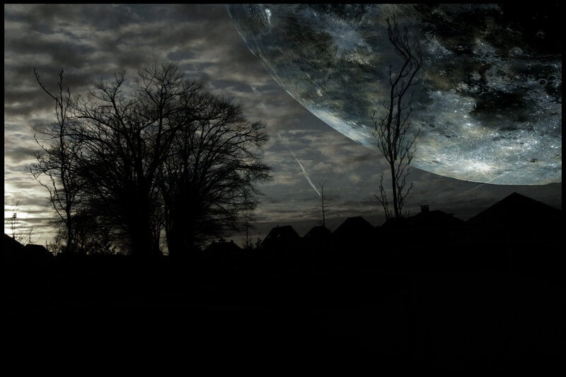 Silhouetted Trees and Moon — Black, Dramatic