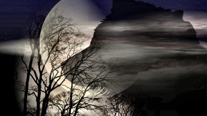 Silhouetted Trees and Moon — Black