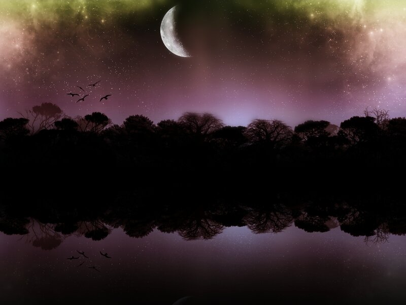 Silhouetted Trees and Moon