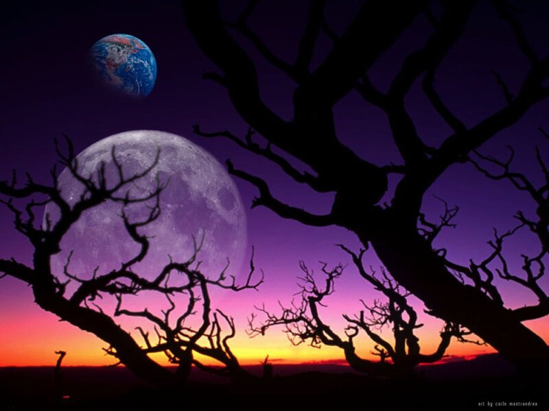 Silhouetted Trees and Moons — Purple