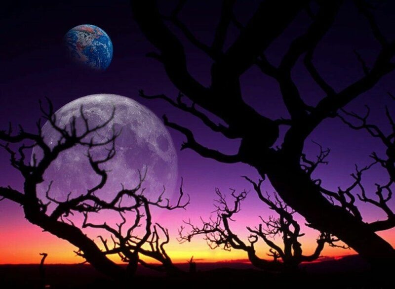 Silhouetted Trees and Moons