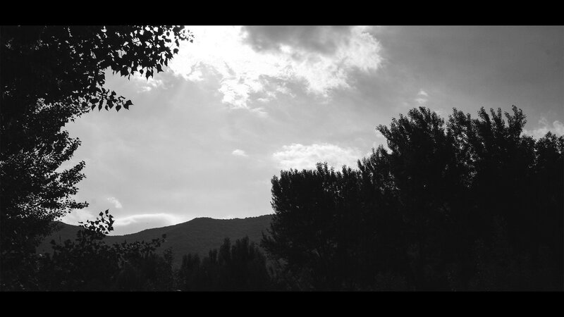 Silhouetted Trees and Mountains — Black
