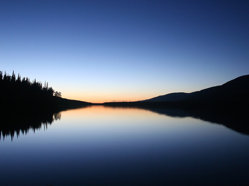 Silhouetted Trees and Mountains — Blue