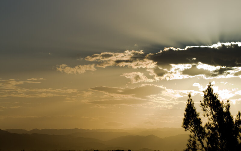 Silhouetted Trees and Mountains — Gold