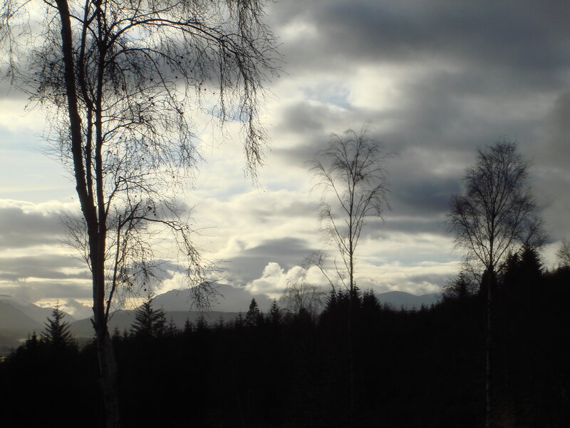 Silhouetted Trees and Mountains — Gray