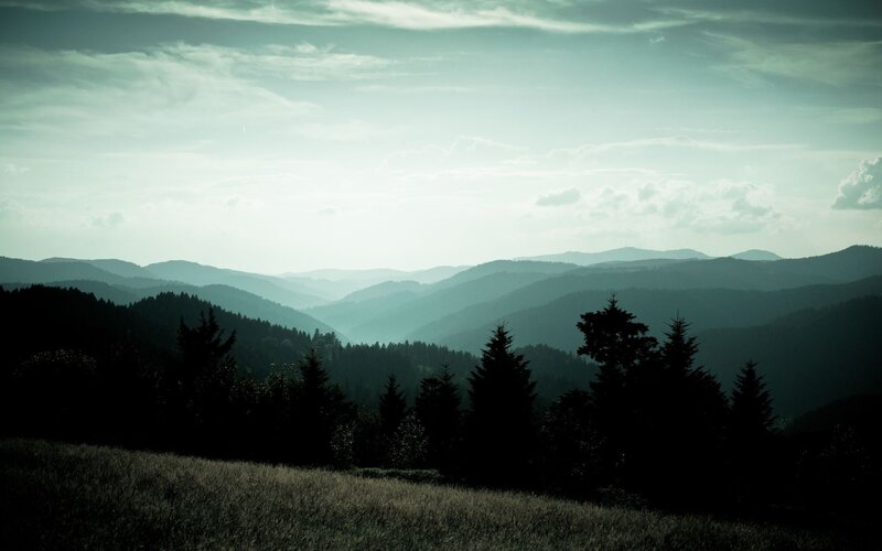 Silhouetted Trees and Mountains — Green, Serene