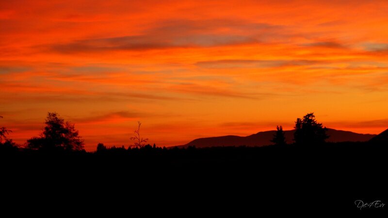 Silhouetted Trees and Mountains — Orange, Dramatic, Sunset