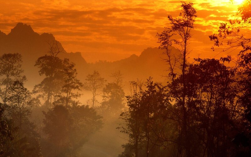 Silhouetted Trees and Mountains — Orange, Dramatic