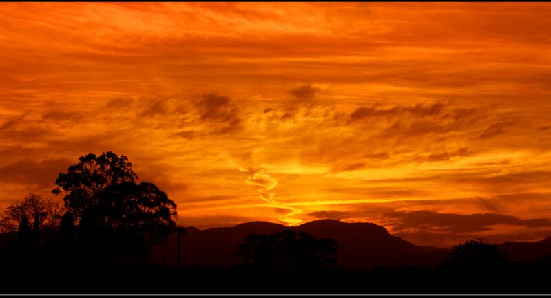 Silhouetted Trees and Mountains — Orange