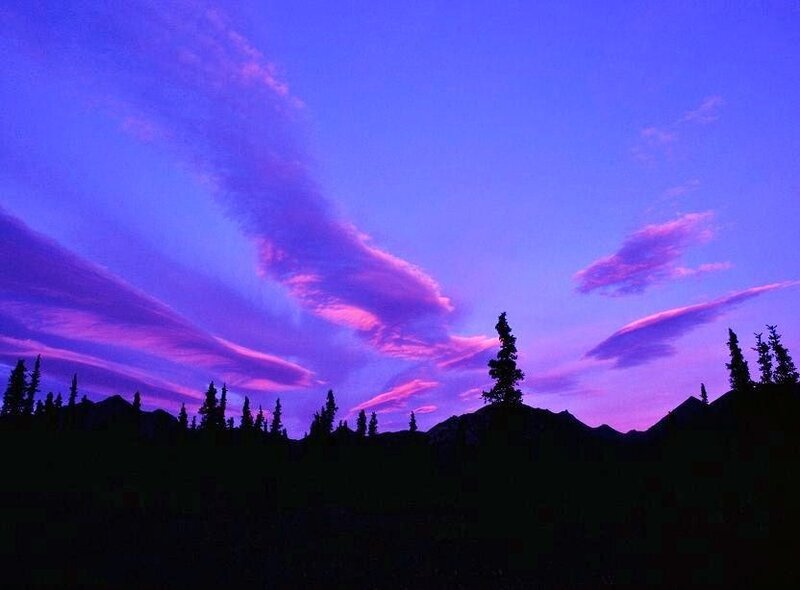 Silhouetted Trees and Mountains — Purple, Dramatic