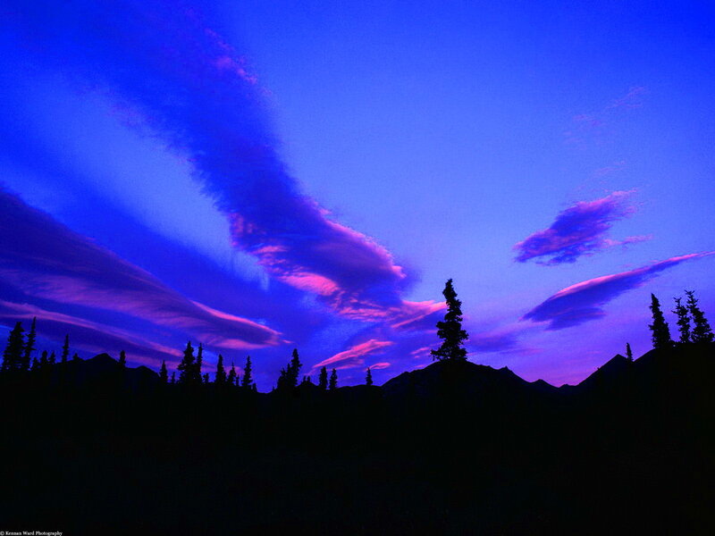 Silhouetted Trees and Mountains