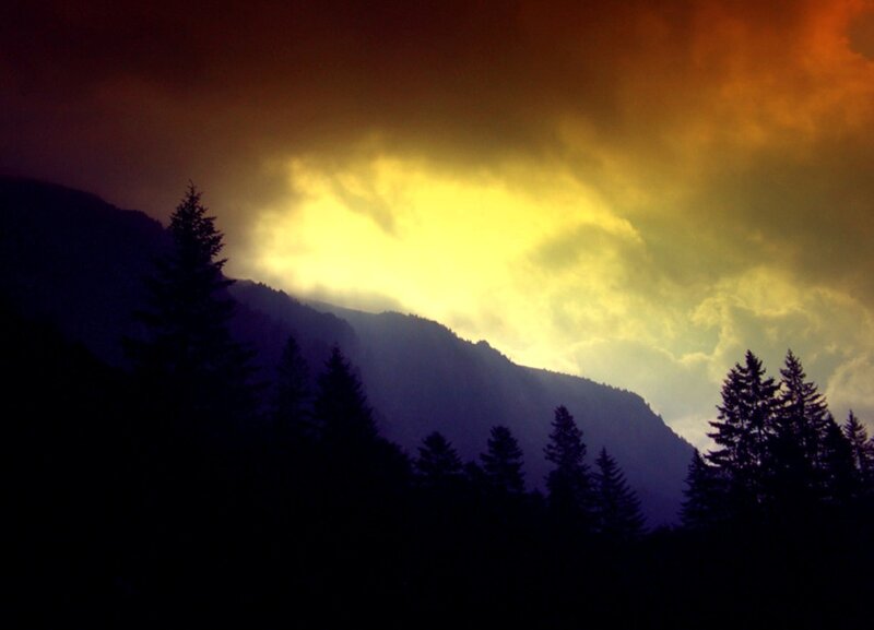 Silhouetted Trees and Mountains — Yellow