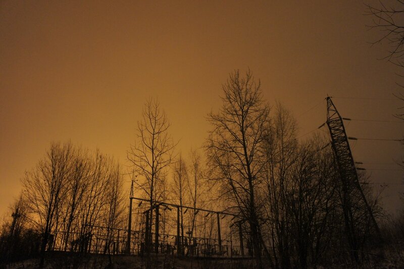 Silhouetted trees and power lines