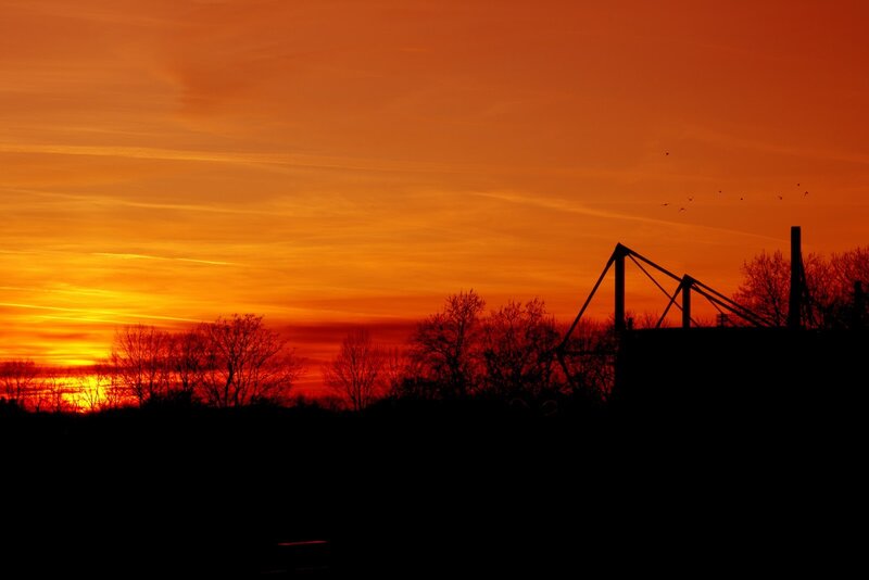 Silhouetted Trees and Structure