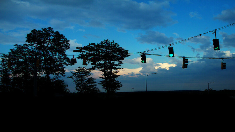 Silhouetted Trees and Traffic Lights