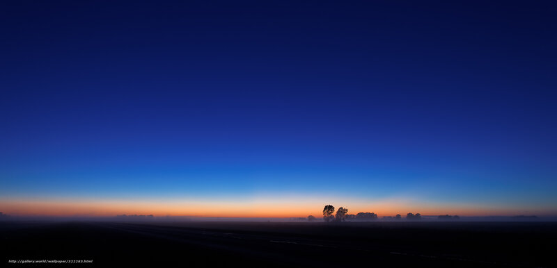 Silhouetted Trees at Dawn — Blue, Serene, Photograph, Fog, Sky