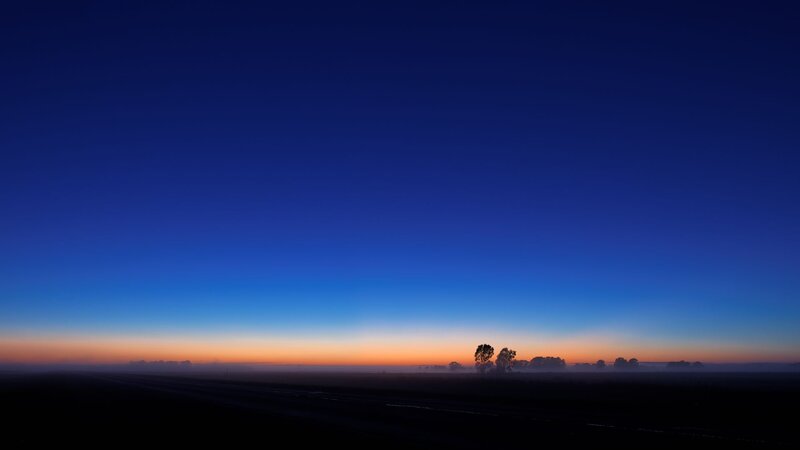 Silhouetted Trees at Dawn — Blue, Serene, Photograph