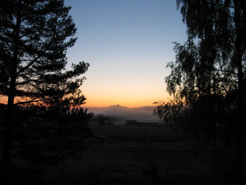 Silhouetted Trees at Dawn — Blue, Serene, Sunrise, Photograph, Fog