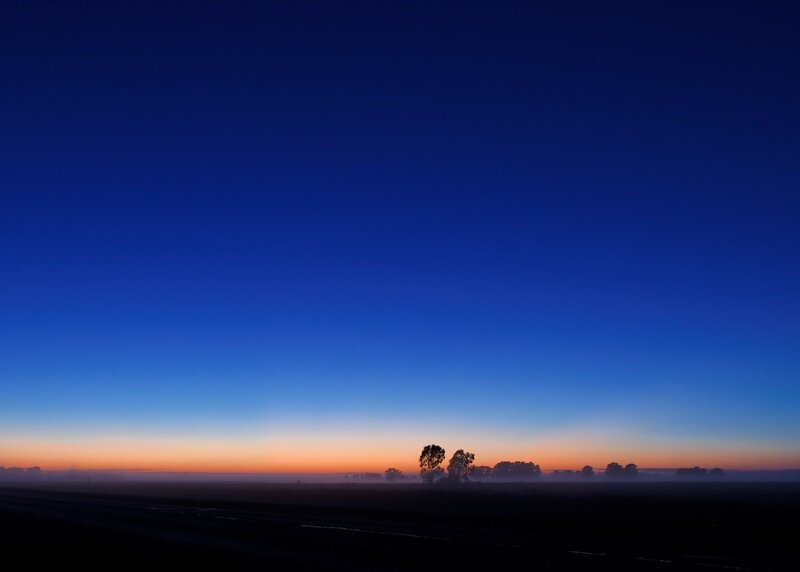 Silhouetted Trees at Dawn — Blue, Serene, Sunrise