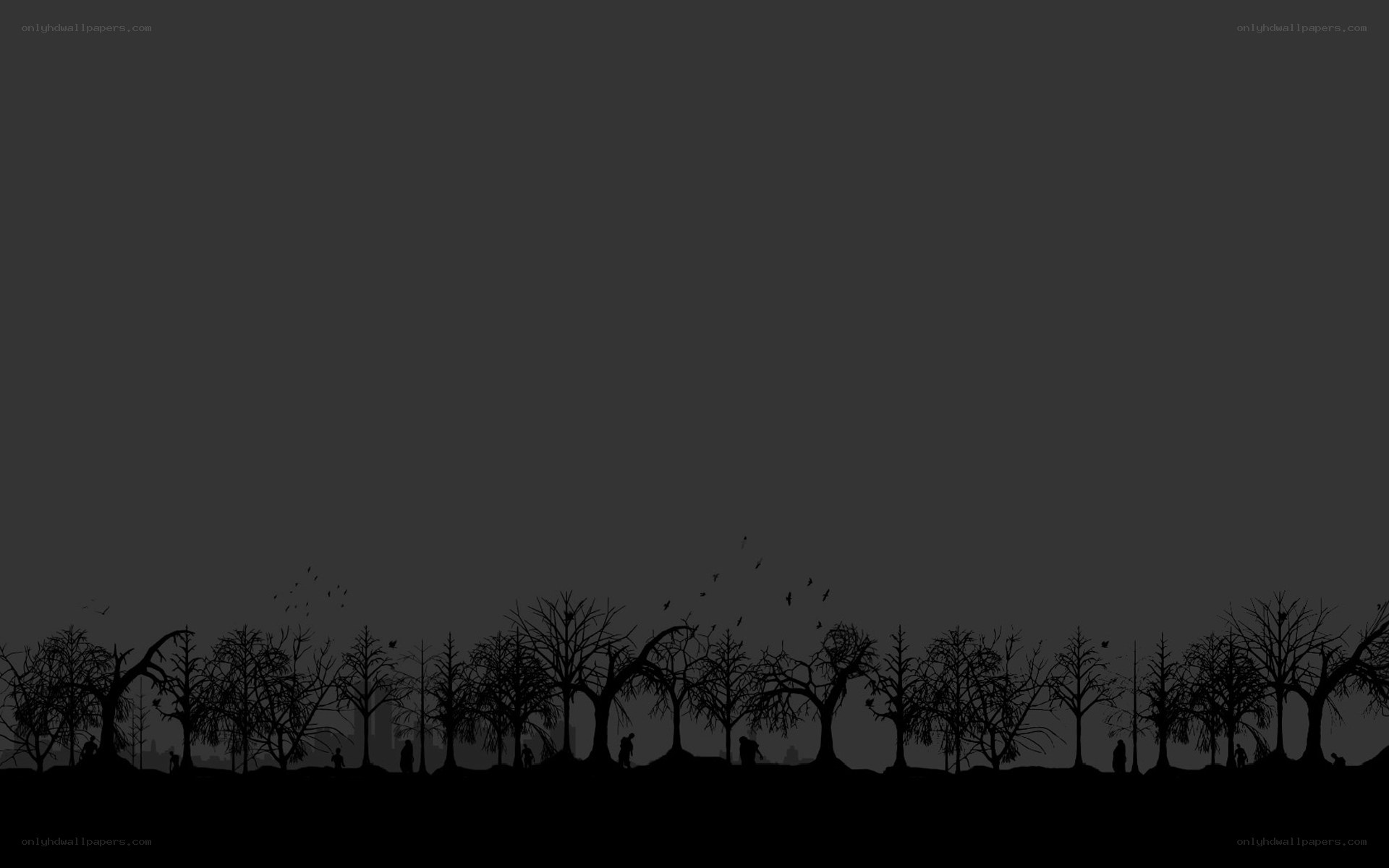 Silhouetted trees at dusk