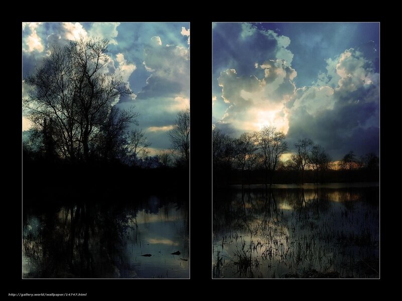 Silhouetted Trees at Dusk