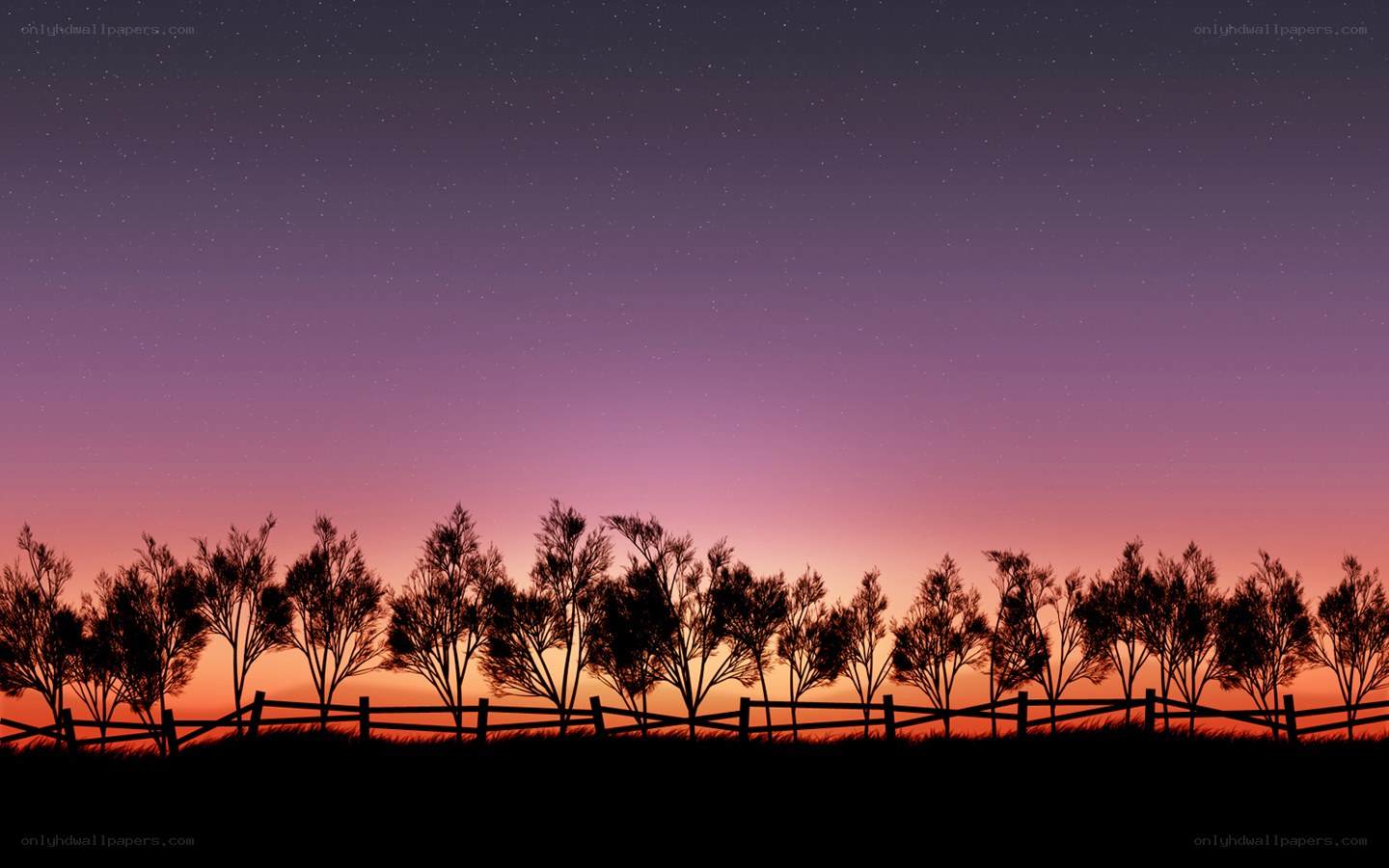 Silhouetted trees at dusk