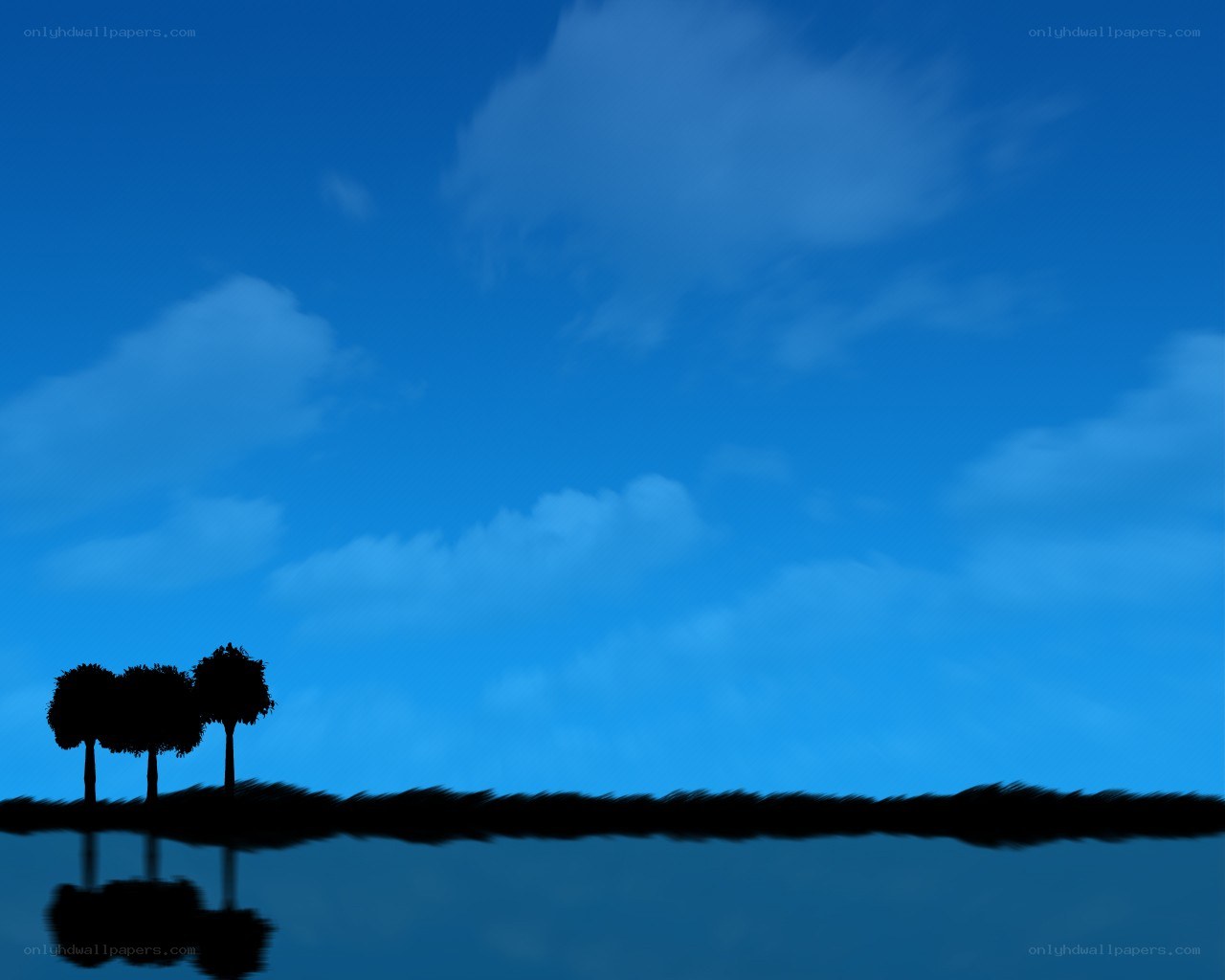 Silhouetted trees at dusk