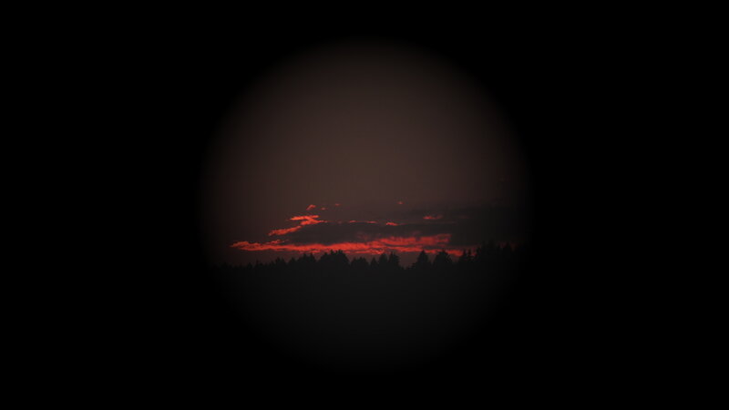 Silhouetted Trees at Dusk — Black, Dramatic, Sunset, Photograph, Sky, Clouds