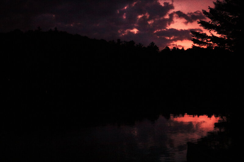 Silhouetted Trees at Dusk — Black, Dramatic, Sunset, Photograph, Sky, Clouds, Water