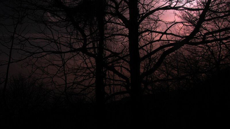 Silhouetted Trees at Dusk — Black, Dramatic, Sunset, Photograph, Sky