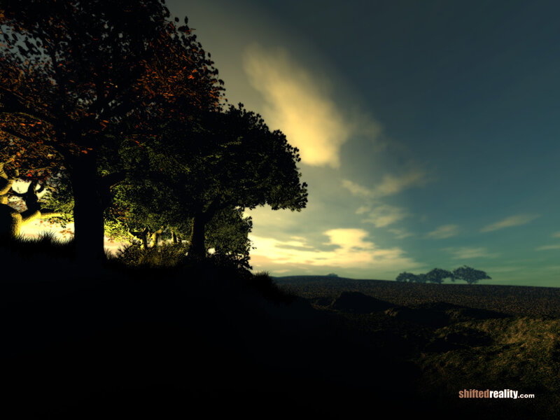 Silhouetted Trees at Dusk — Black, Dramatic, Sunset