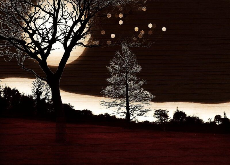Silhouetted Trees at Dusk — Black, Dramatic