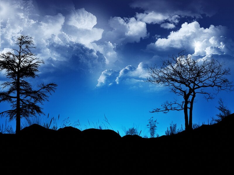 Silhouetted Trees at Dusk — Blue, Dramatic, Night, Photograph, Clouds, Sky, Black