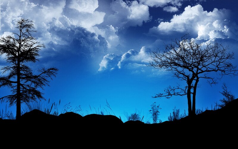 Silhouetted Trees at Dusk — Blue, Dramatic, Night, Photograph, Clouds